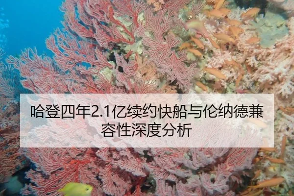 哈登四年2.1亿续约快船与伦纳德兼容性深度分析