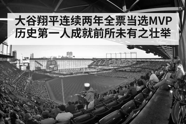 baseball stadium crowd