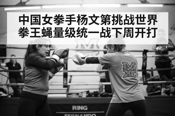 中国女拳手杨文第挑战世界拳王蝇量级统一战下周开打